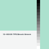 Color chip: 13-6009 TPX Brook Green