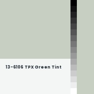 Color chip: 13-6106 TPX Green Tint