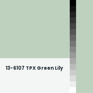 Color chip: 13-6107 TPX Green Lily