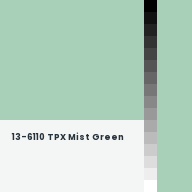 Color chip: 13-6110 TPX Mist Green