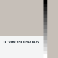 Color chip: 14-0000 TPX Silver Gray