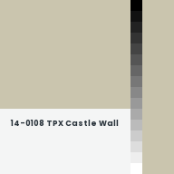 Color chip: 14-0108 TPX Castle Wall
