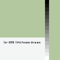 Color chip: 14-0115 TPX Foam Green