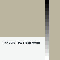 Color chip: 14-0210 TPX Tidal Foam