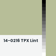 Color chip: 14-0216 TPX Lint