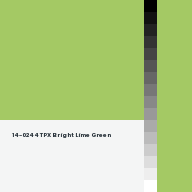 Color chip: 14-0244 TPX Bright Lime Green