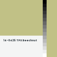 Color chip: 14-0425 TPX Beechnut
