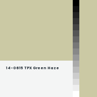 Color chip: 14-0615 TPX Green Haze