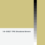 Color chip: 14-0627 TPX Shadow Green