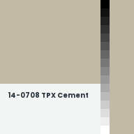 Color chip: 14-0708 TPX Cement
