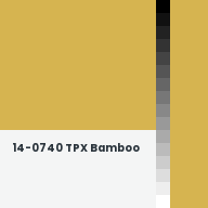Color chip: 14-0740 TPX Bamboo