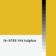 Color chip: 14-0755 TPX Sulphur