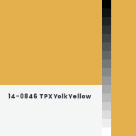Color chip: 14-0846 TPX Yolk Yellow
