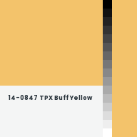 Color chip: 14-0847 TPX Buff Yellow