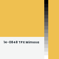 Color chip: 14-0848 TPX Mimosa