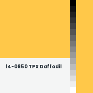 Color chip: 14-0850 TPX Daffodil