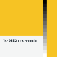 Color chip: 14-0852 TPX Freesia