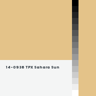 Color chip: 14-0936 TPX Sahara Sun