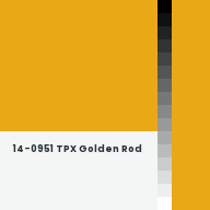 Color chip: 14-0951 TPX Golden Rod