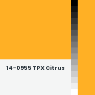 Color chip: 14-0955 TPX Citrus