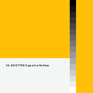 Color chip: 14-0957 TPX Spectra Yellow