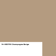 Color chip: 14-1012 TPX Champagne Beige