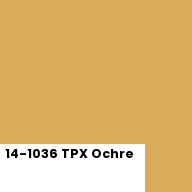 Color chip: 14-1036 TPX Ochre