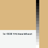 Color chip: 14-1038 TPX New Wheat