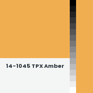 Color chip: 14-1045 TPX Amber