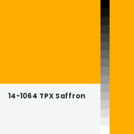 Color chip: 14-1064 TPX Saffron