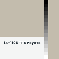 Color chip: 14-1106 TPX Peyote