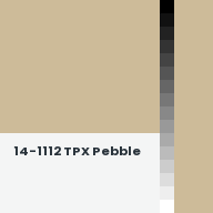 Color chip: 14-1112 TPX Pebble