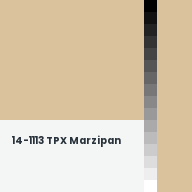 Color chip: 14-1113 TPX Marzipan
