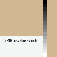 Color chip: 14-1116 TPX Almond Buff