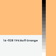 Color chip: 14-1128 TPX Buff Orange