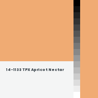 Color chip: 14-1133 TPX Apricot Nectar