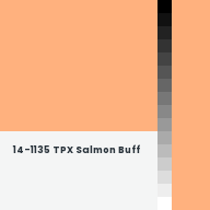Color chip: 14-1135 TPX Salmon Buff