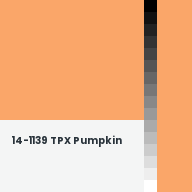 Color chip: 14-1139 TPX Pumpkin