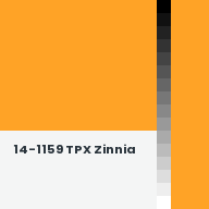 Color chip: 14-1159 TPX Zinnia
