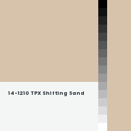 Color chip: 14-1210 TPX Shifting Sand