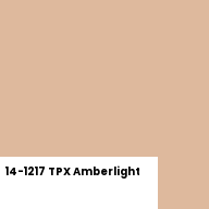 Color chip: 14-1217 TPX Amberlight
