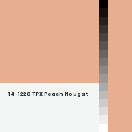 Color chip: 14-1220 TPX Peach Nougat