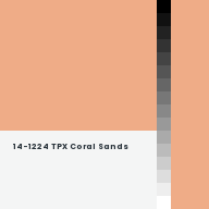 Color chip: 14-1224 TPX Coral Sands