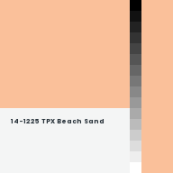 Color chip: 14-1225 TPX Beach Sand