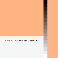 Color chip: 14-1231 TPX Peach Cobbler