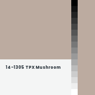 Color chip: 14-1305 TPX Mushroom