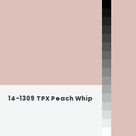 Color chip: 14-1309 TPX Peach Whip