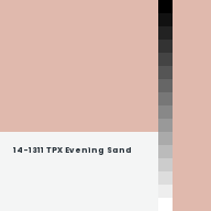Color chip: 14-1311 TPX Evening Sand