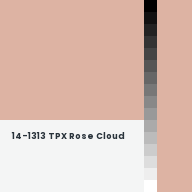 Color chip: 14-1313 TPX Rose Cloud