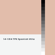 Color chip: 14-1314 TPX Spanish Villa